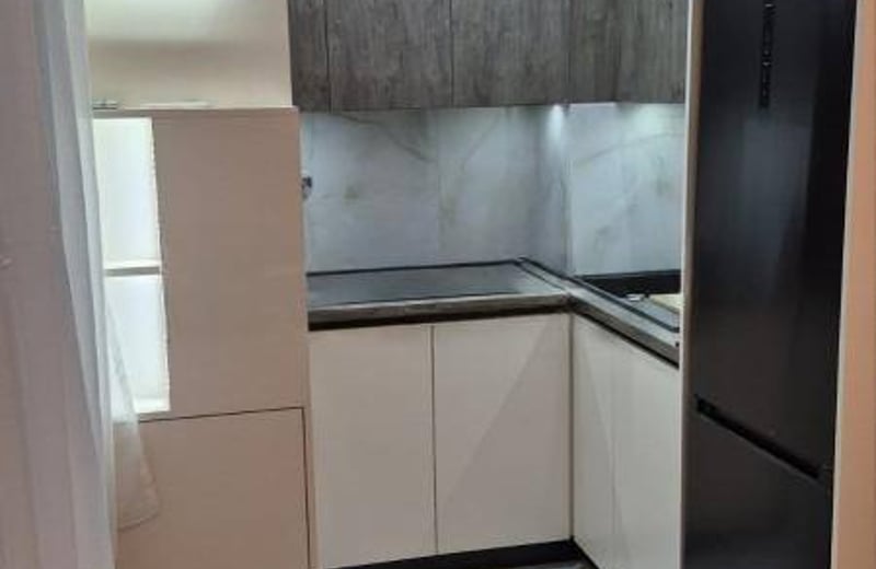 Rent of a cozy 2-room apartment, 50 m², Voždovac district, Belgrade, Serbia